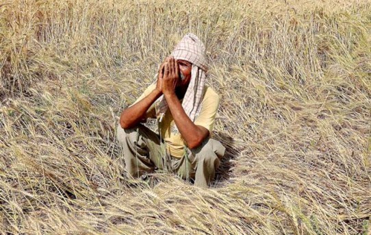 Indian Farmers: Leaderless and Powerless