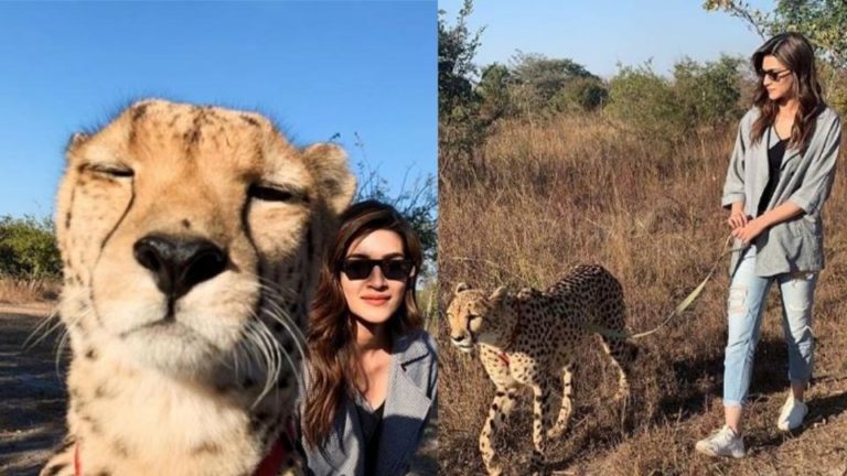 Zambian wildlife adventure for Bollywood actor Kriti Sanon