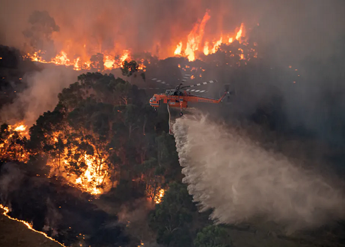 Australian bushfire crisis: PM Morrison cancels his first visit to India