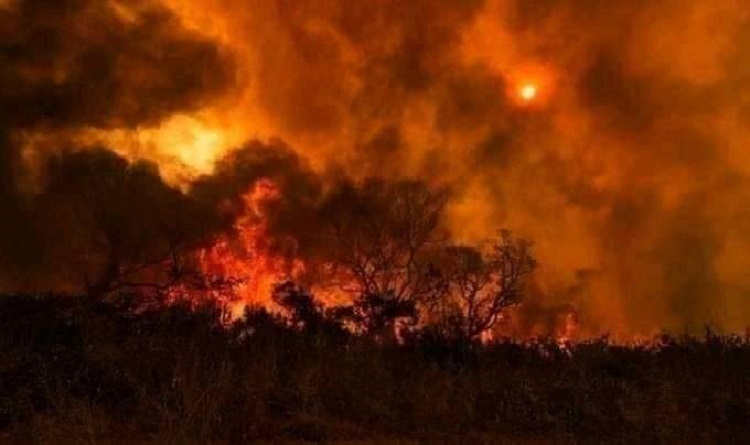 Pakistani security forces have set fire to the Balochistan forests. (Photo: News Intervention)