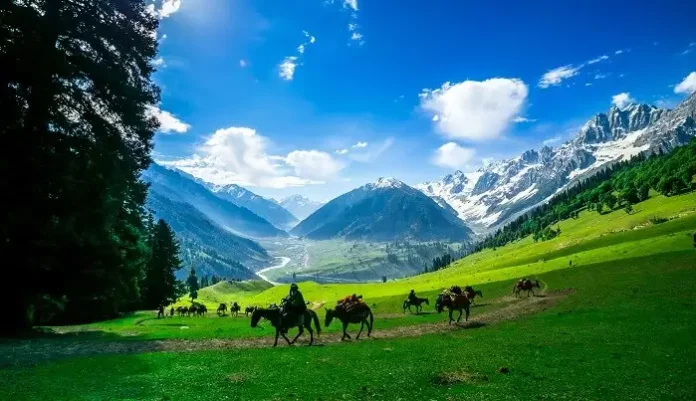 summer in kashmir