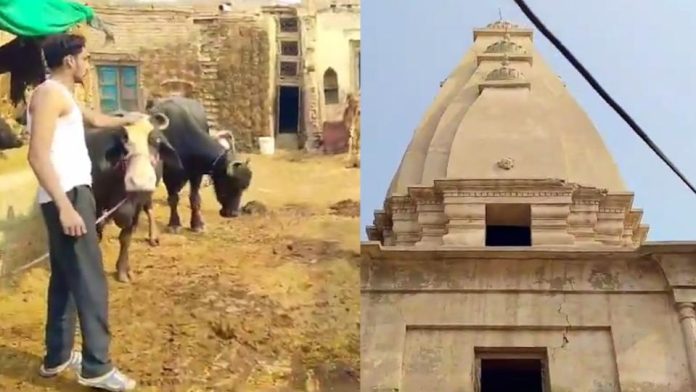 400-Year-Old Hindu Temple in Pakistan Converted Into Cattle Farm